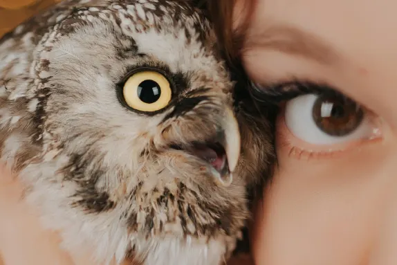 Paradise Kasino Tuki